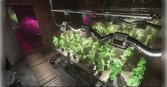 Schedule 1 cloud gaming 2026